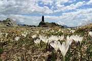 Al Passo di Budria (2216 m) al Rifugio Balicco e Bivacco Zamboni ad anello il 20 maggio 2020- FOTOGALLERY